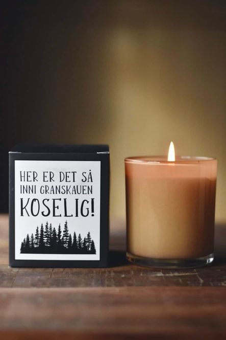 Hovedbilde 