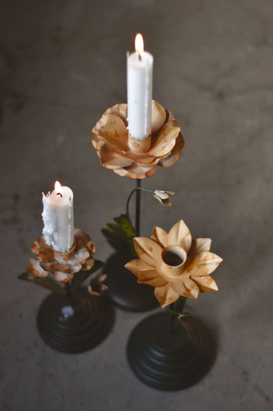 Krem- Lysestake Rose 17 cm