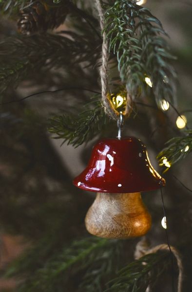 Hovedbilde Rød - Tresopp heng