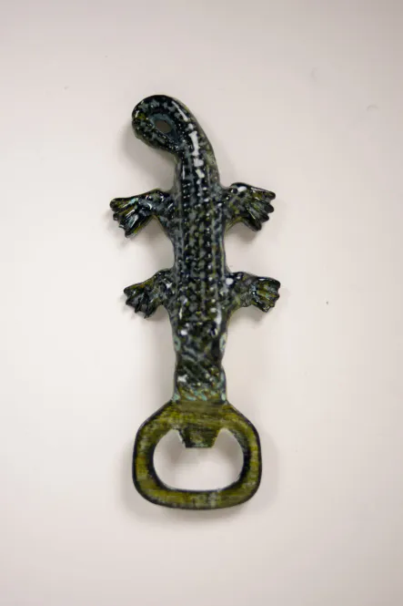 Hovedbilde Alligator - Åpner