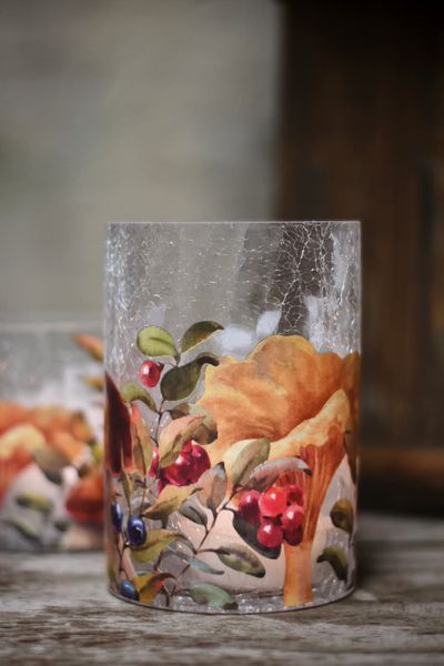 Hovedbilde Sopp - Krakelert Stort ...